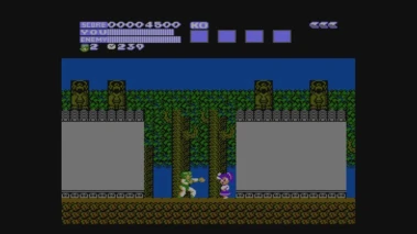 Flying Dragon: The Secret Scroll - Screenshot 3